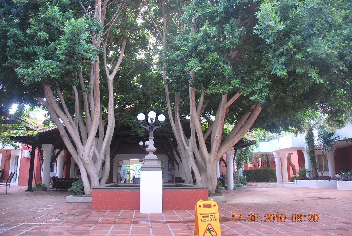 imagini hotel CLUB BELCEKIZ OLUDENIZ